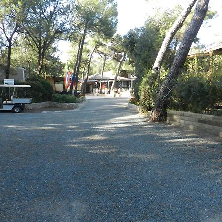 Camping Casa Di Caccia มารินา ดิ บิบโบนา ภายนอก รูปภาพ