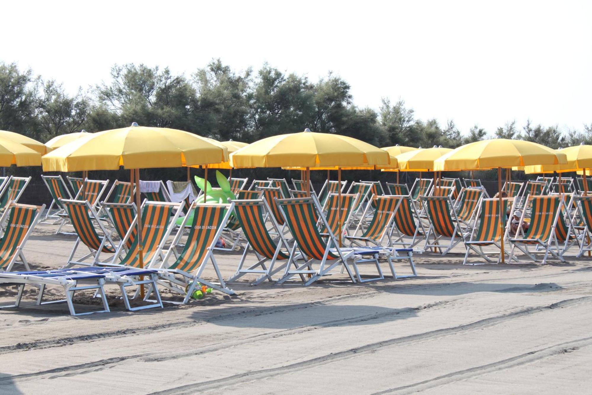 Camping Casa Di Caccia มารินา ดิ บิบโบนา ภายนอก รูปภาพ