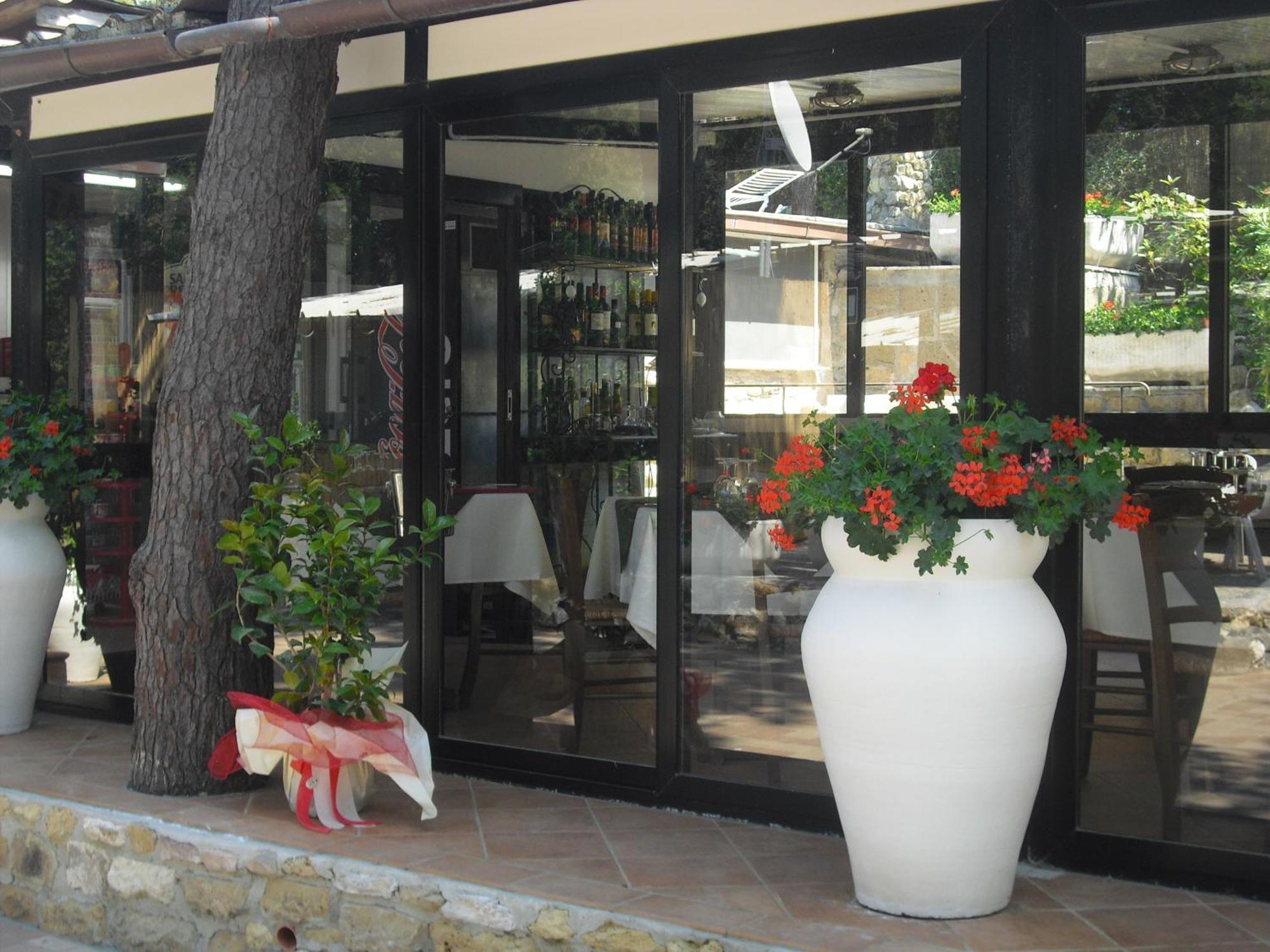 Camping Casa Di Caccia มารินา ดิ บิบโบนา ภายนอก รูปภาพ