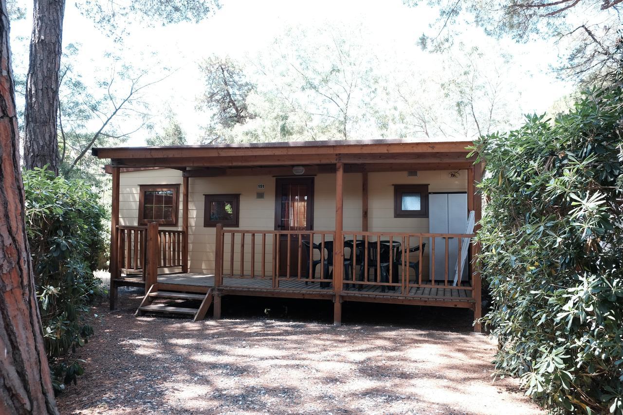 Camping Casa Di Caccia มารินา ดิ บิบโบนา ภายนอก รูปภาพ