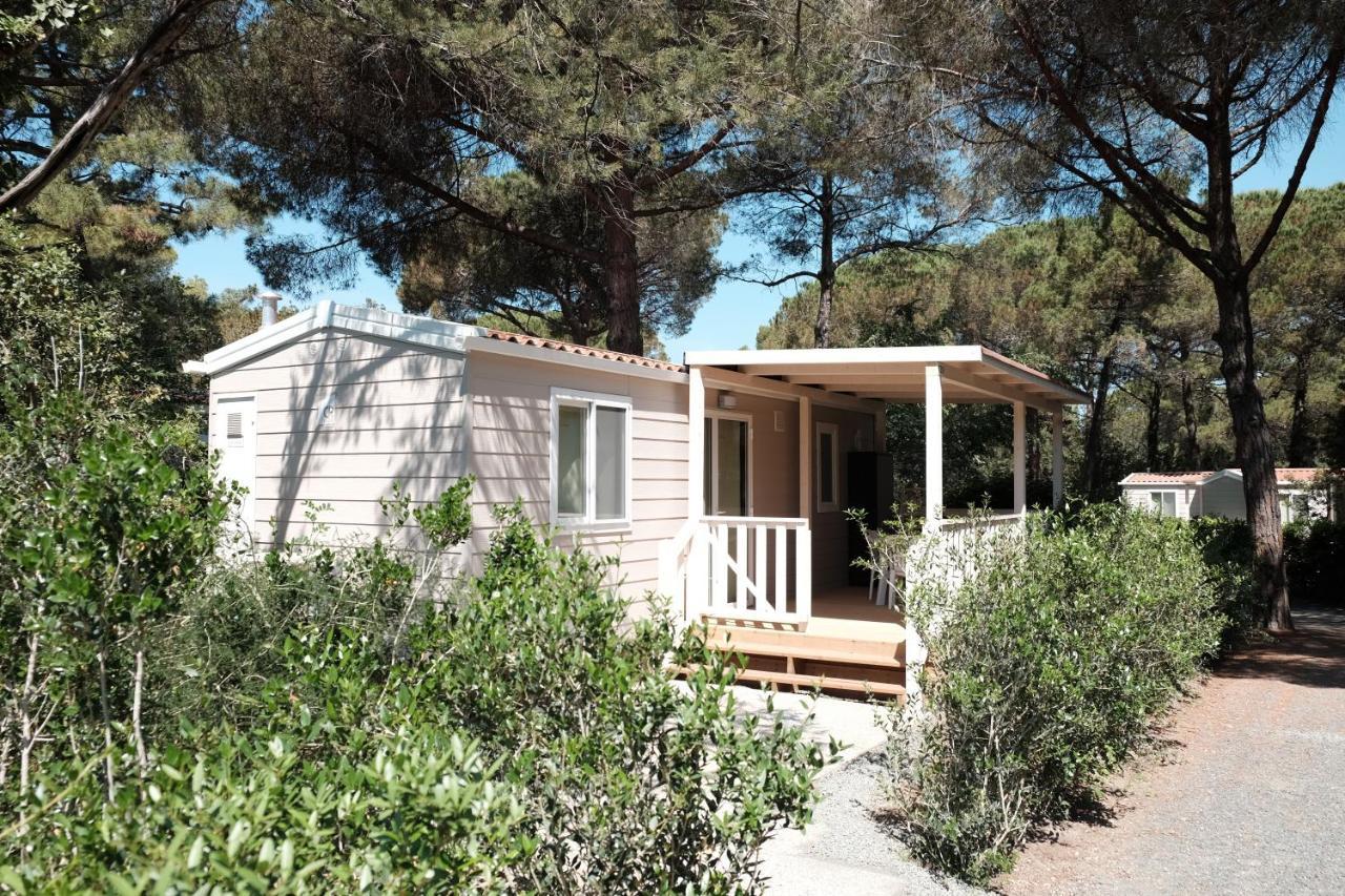 Camping Casa Di Caccia มารินา ดิ บิบโบนา ภายนอก รูปภาพ